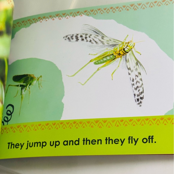 Grasshopper Gets Away Mini Kids Facts Picture Book - Picture 4 of 5